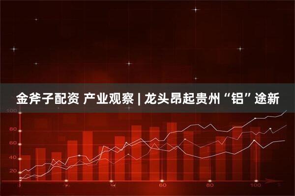 金斧子配资 产业观察 | 龙头昂起贵州“铝”途新