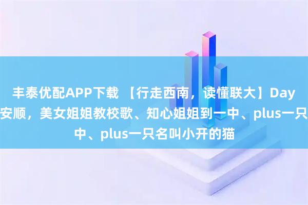 丰泰优配APP下载 【行走西南，读懂联大】Day 4：从黄平到安顺，美女姐姐教校歌、知心姐姐到一中、plus一只名叫小开的猫